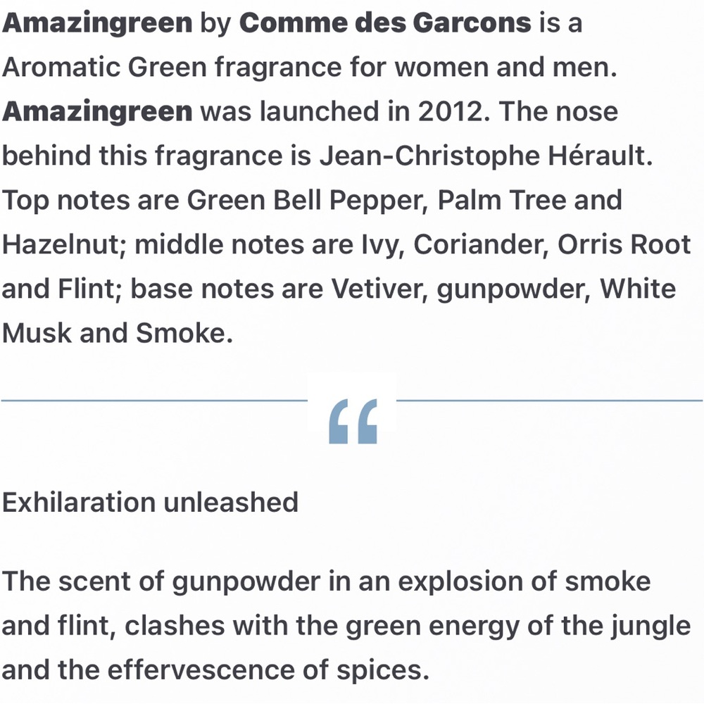 Comme des Garçons Amazing Green > CHECK EBAY - Picture 7 of 8